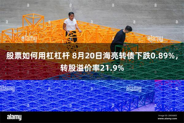 股票如何用杠杠杆 8月20日海亮转债下跌0.89%，转股溢价率21.9%